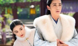 花谢花开花满天电视剧,爱恨情仇，命运交织的传奇人生