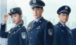 关于警察的电视剧,正义与勇气的较量