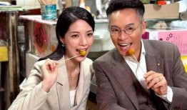 郭晋安电视剧,情感与正义的交织篇章